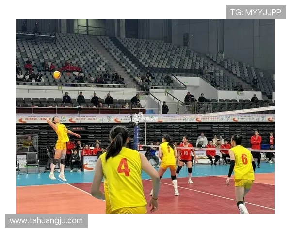 上海排球队的崛起与发展探秘展现排球运动的力量与魅力